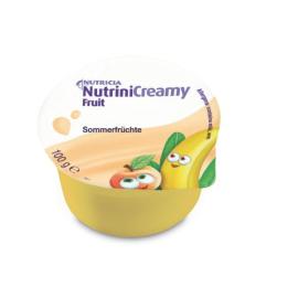 Nutrini Creamy Fruit Sommerfrüchte
