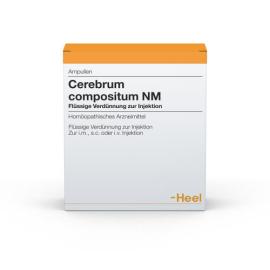 Cerebrum Compositum NM Ampullen