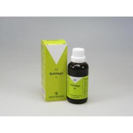 Solidago H 32 Tropfen