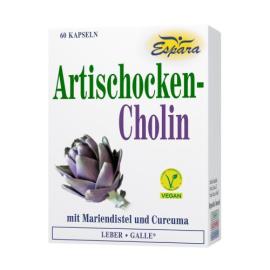 Artischocken Cholin Kapseln