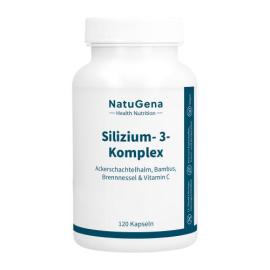 Silizium-3-Komplex Vitamin C hochdosiert vegan Kps