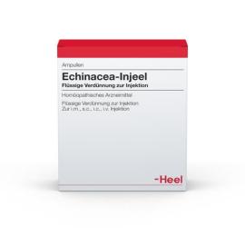 Echinacea Injeel Ampullen