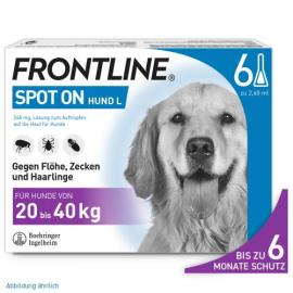 Frontline Spot ON H 40 Vet