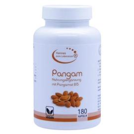 Pangam Vitamin B15 Vegi Kapseln