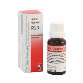 Sulfur Gastreu R 23 Tropfen zum Einnehmen
