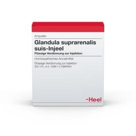 Glandula Suprarenalis suis Injeel Ampullen