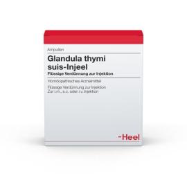 Glandula Thymi suis Injeel Ampullen