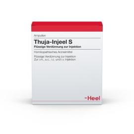 Thuja Injeel S Ampullen