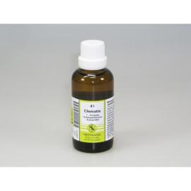 Clematis F Kompl 41