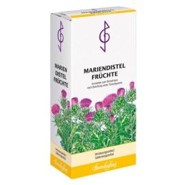 Mariendistel Früchte Tee