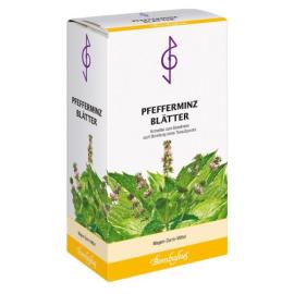 Pfefferminzblätter Tee