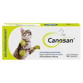 Canosan Katze Vet