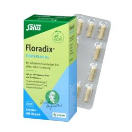 Salus Floradix Eisen plus B12, Kapseln