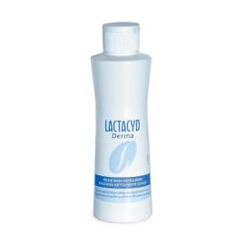 Lactacyd Derma Waschsyndet