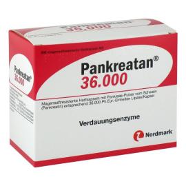 Pankreatan 36.000 magensaftresistente Hartkapseln