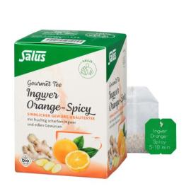 Salus Gourmet Tee Ingwer Orange-Spicy, Gewürz-Kräutertee
